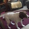 tye_redford
